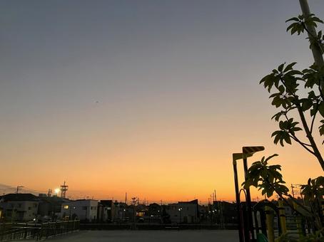 夕方の公園① 夕方の公園① 公園,夕方,風景の写真素材