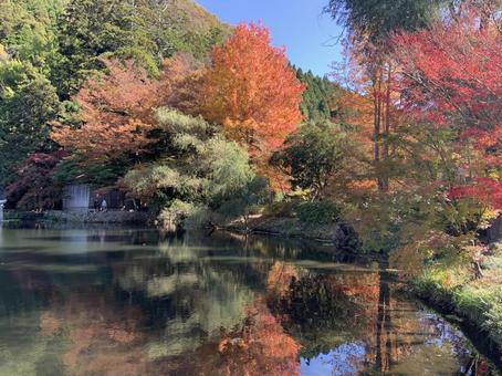 紅葉と湖 紅葉,秋,湖の写真素材
