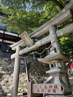 竹生島神社 竹生島神社の写真