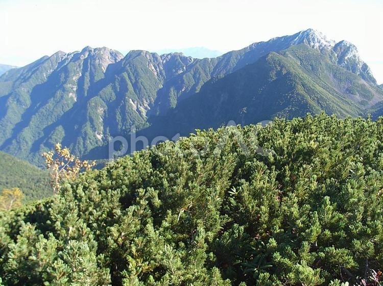 日本　山梨　仙丈ケ岳 日本,山梨,仙丈ケ岳の写真素材