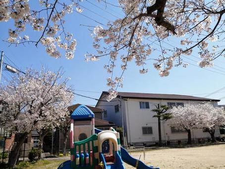 サクラサク公園 サクラサク公園の写真