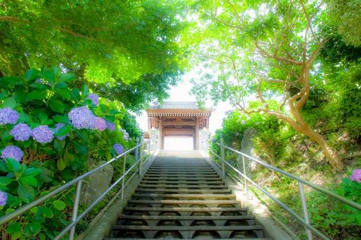 天国への怪談 天国への怪談 天国,階段,門の写真素材