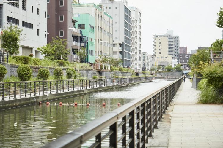 川沿いの道 歩道,道,川の写真素材