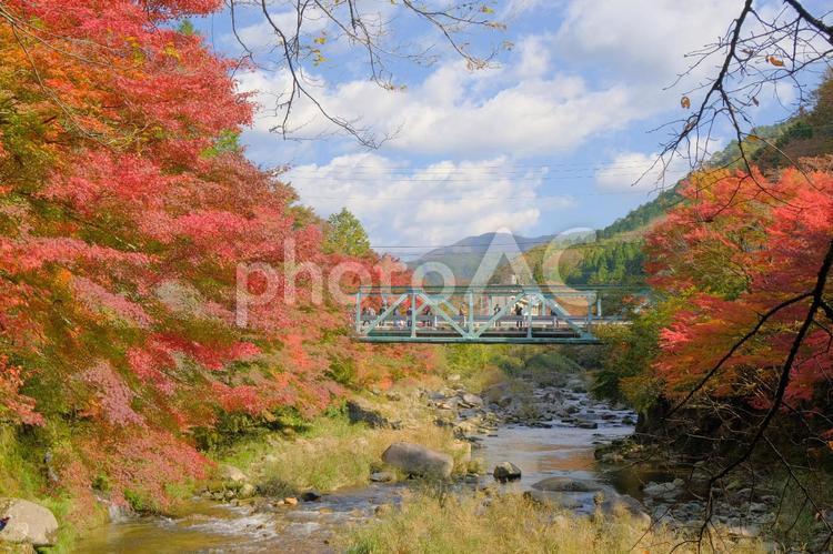 奥津渓(11) 鮮やか,紅葉,青空の写真素材