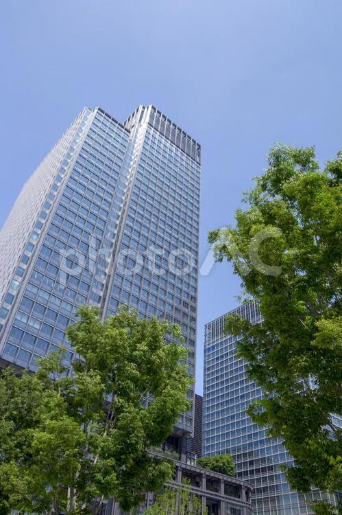 東京丸の内の都市風景 東京,丸の内,都市風景の写真素材