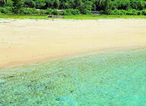 奄美 タエン浜 奄美 タエン浜 奄美,奄美大島,宇検村の写真素材