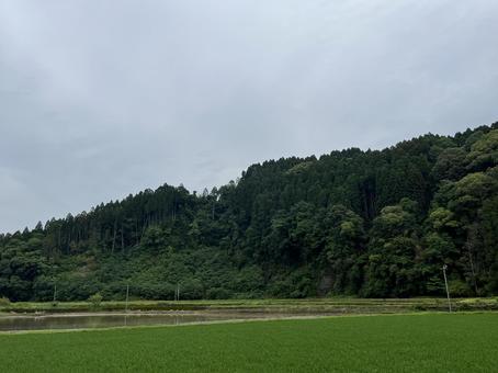 自然風景の写真