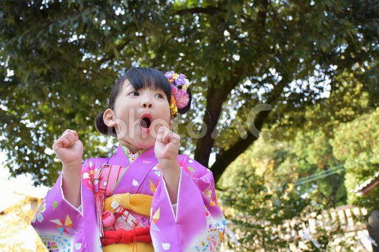 七五三の７歳の女の子 mdfk023,お着物,こどもの写真素材