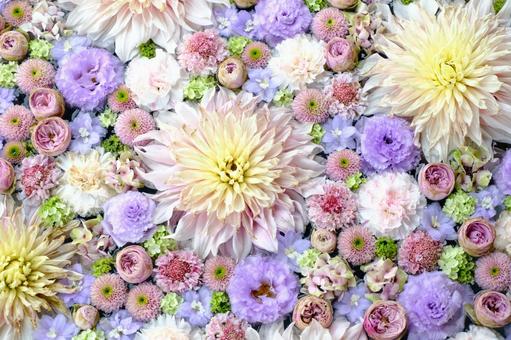 花手水 花手水 花手水,自然,背景の写真素材