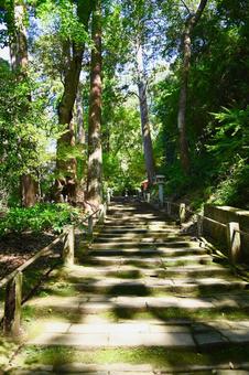 医王山 油山寺参道 医王山 油山寺参道 油山寺,参道,境内の写真素材