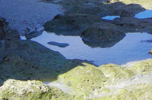 沖縄・背景 沖縄・背景の写真