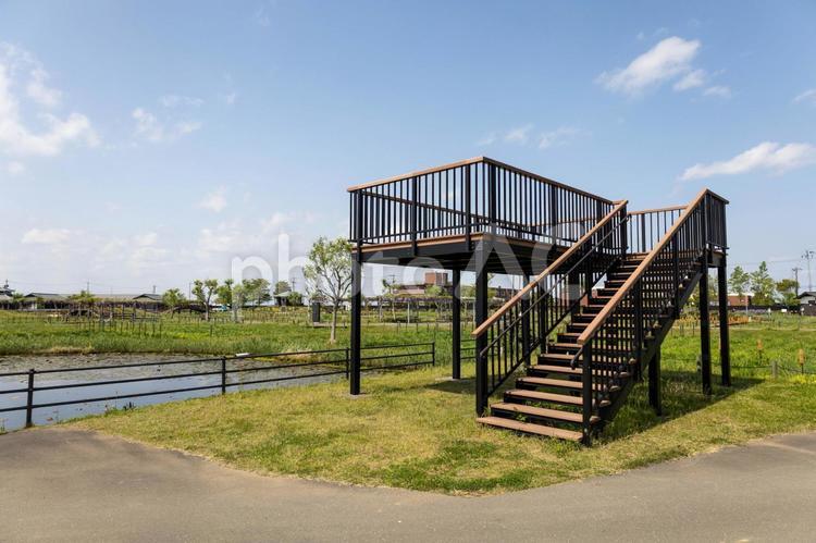 水郷佐原あやめパークの展望台 水郷佐原あやめパーク,展望台,公園の写真素材
