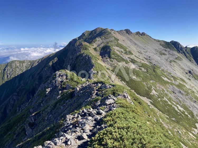大仙丈ヶ岳からの仙丈ヶ岳 仙丈ヶ岳,大仙丈ヶ岳,南アルプスの写真素材
