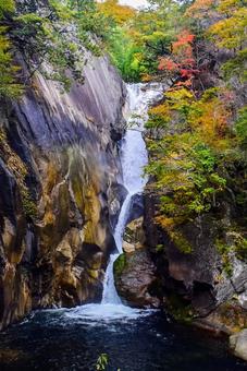仙娥滝（せんがたき） 仙娥滝,せんがたき,昇仙峡の写真素材