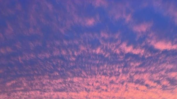 鮮やかな夕雲 鮮やかな夕雲の写真