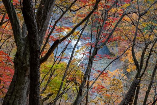 秋の山 秋の山 秋の山,紅葉,秋素材の写真素材