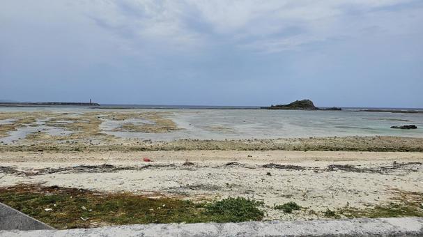 干潮の海 干潮の海の写真