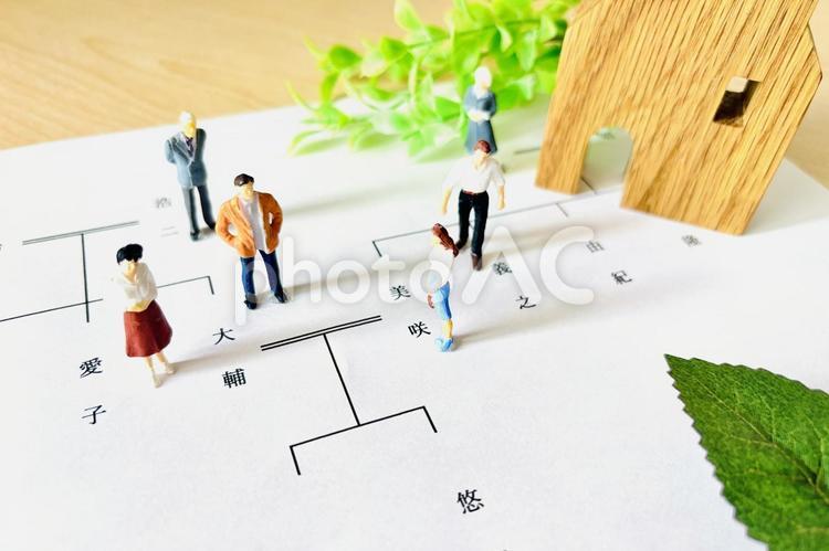 家系図と家族・遺産相続や関係図 相続,遺産相続,家族の写真素材