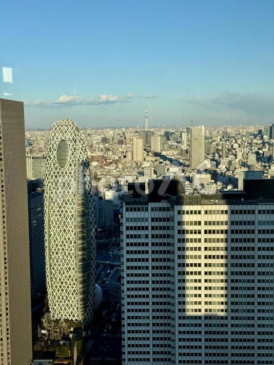 東京都庁から東京の街並みを見下ろす サンセット,銀座,新橋の写真素材