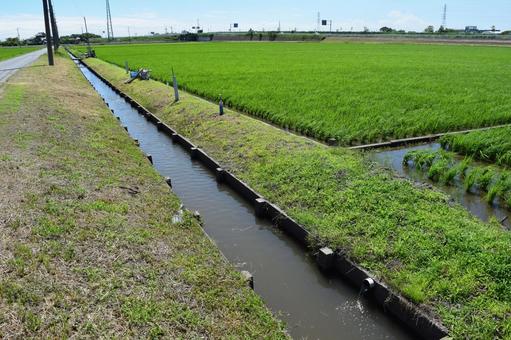 農業用水路兼排水路 茨城県 農業用水路兼排水路 茨城県 農業用水路,用水路,農業用水の写真素材