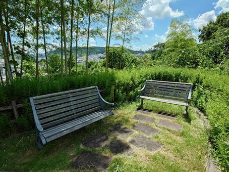 Photo, bench, chair, sunny day, 