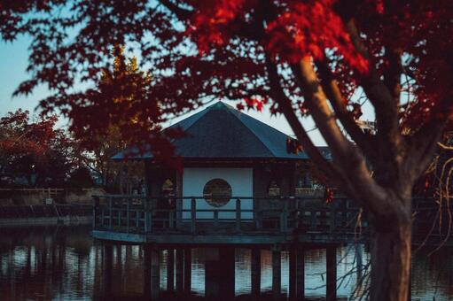 フィルムカメラ風の庭園写真 もみじ,モミジ,秋の写真素材