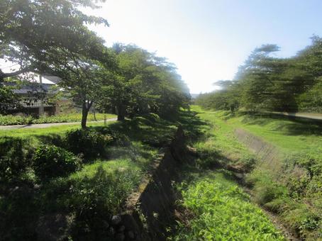 緑あふれる川 緑あふれる川 緑,川,木々の写真素材