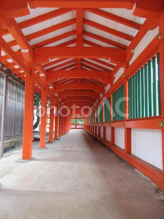 日御碕神社の廻廊 日御碕神社,美佐伎社,天照大御神の写真素材