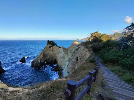 伊豆の海 伊豆の海 海,岬,青空の写真素材