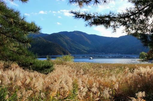 秋の河口湖周辺 秋の河口湖周辺 河口湖周辺,河口湖,湖の写真素材