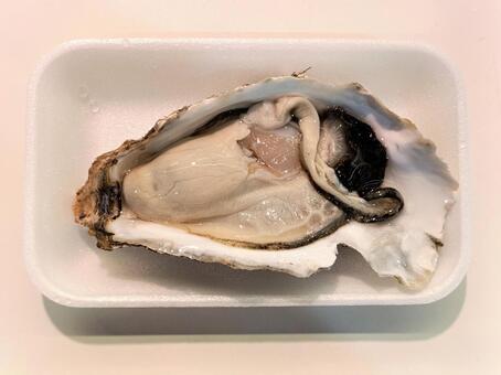 容器に入った生牡蠣 牡蠣,カキ,生の写真素材