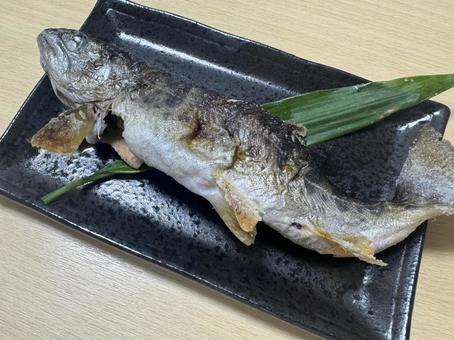 酒のあてのイメージ あまご 酒のあてのイメージ あまご 酒のあて,あまご,天魚の塩焼きの写真素材
