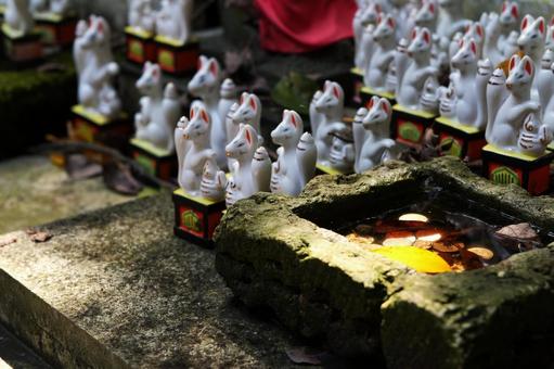 白狐が並ぶ石鉢 白狐が並ぶ石鉢 鎌倉,白狐,神社の写真素材