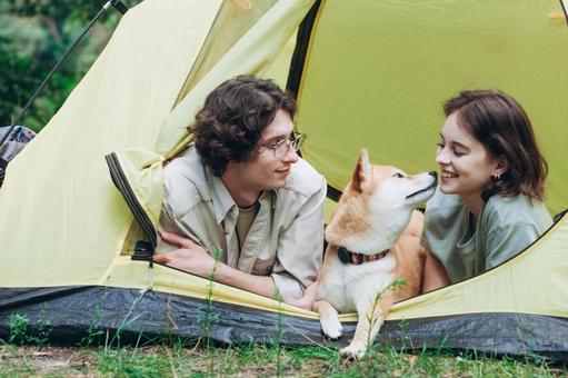 テントの横で犬を見つめる男性と女性 男女,外国人,犬の写真素材