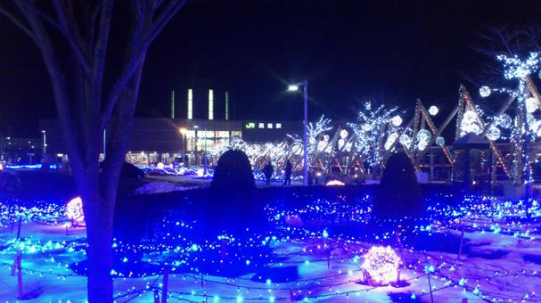 函館駅前イルミネーション 函館駅前イルミネーション 北海道,函館駅,イルミネーションの写真素材
