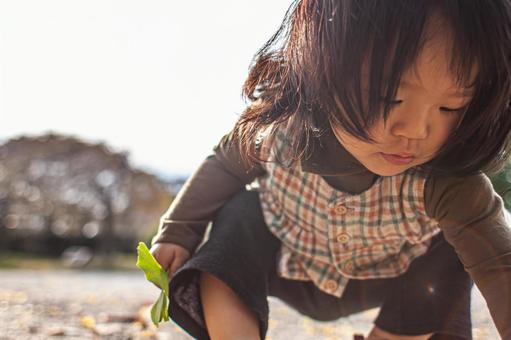 Child picking up fallen leaves, JPG