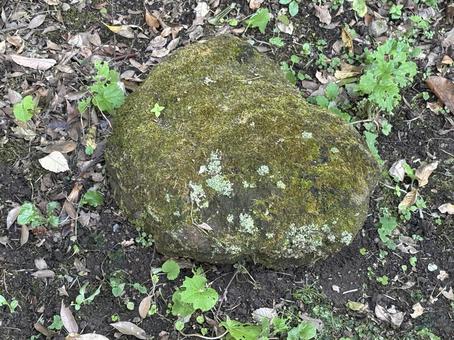 庭石 庭石,石,背景の写真素材