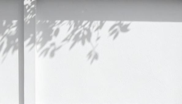 白い壁に映る葉の影と光 白い壁に映る葉の影と光の写真