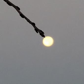 満月あそび（線香花火） 満月あそび,満月,宵の写真素材