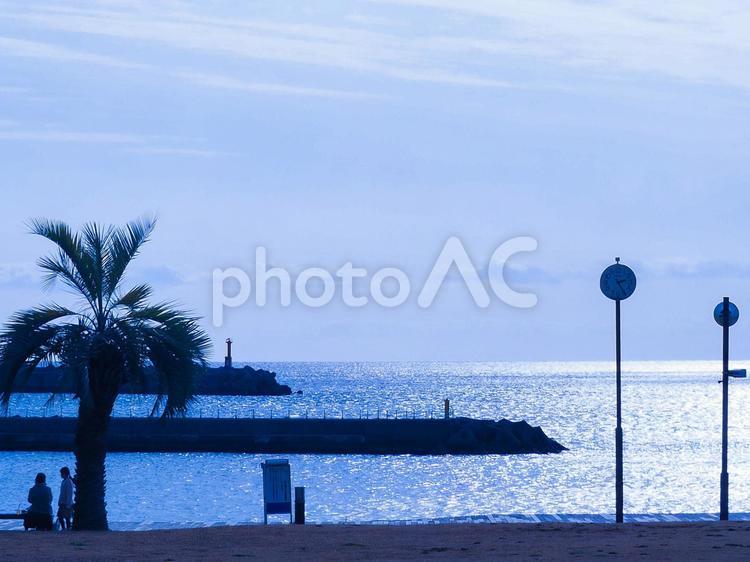 海の見える景色 海,ヤシの木,自然の写真素材