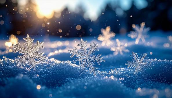 冬の光にきらめく雪の結晶の写真