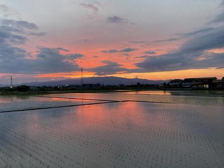 夕焼けと反射する水田(横) 夕焼けと反射する水田(横) 夕焼け,夕日,空の写真素材