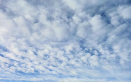 白い雲5 白い雲5 雲,白い,空の写真素材