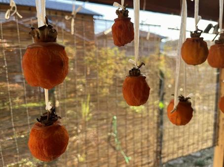 干し柿 干し柿,柿,柿色の写真素材