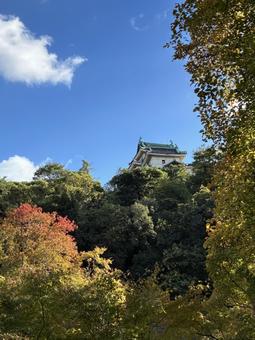 初紅葉の写真
