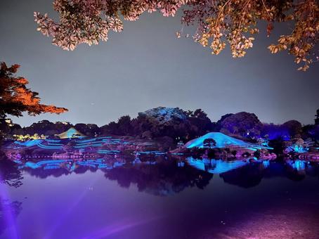 美しい水前寺成趣園 美しい水前寺成趣園 水前寺成趣園,水前寺公園,庭園の写真素材