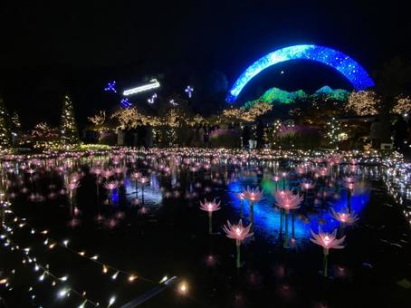 イルミネーション イルミネーション,ライトアップ,花の写真素材