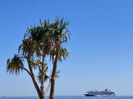 モートン島 モートン島 青空,海,木の写真素材