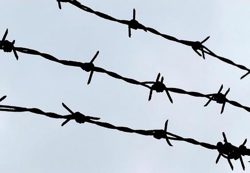 Photo, barbed wire, fence, prison, 