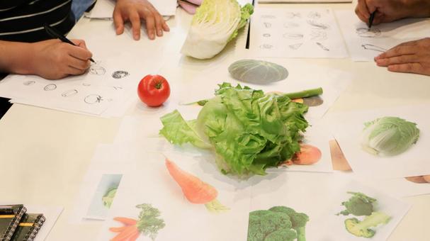 野菜のスケッチ風景 野菜のスケッチ風景 野菜,スケッチ,デッサンの写真素材